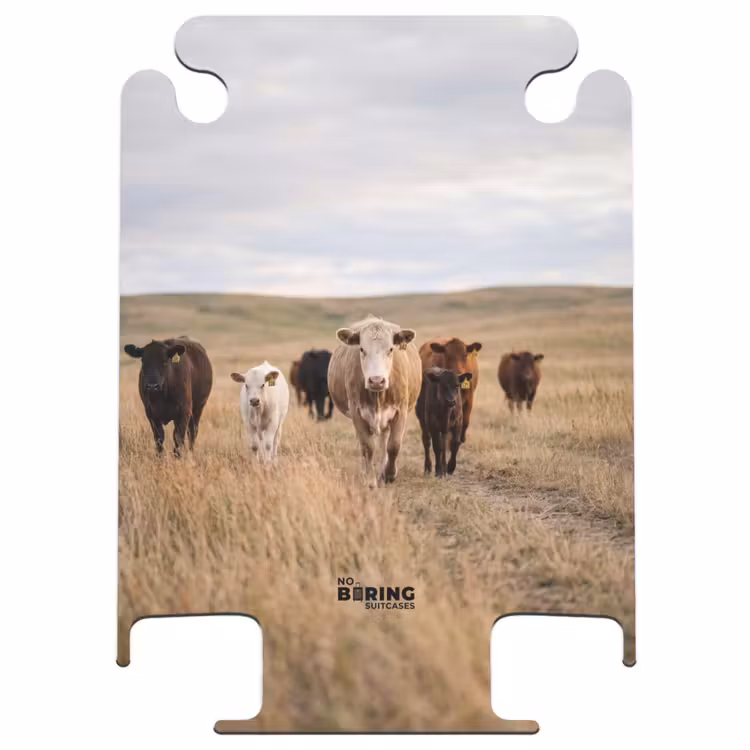 CaseSwap™ - Cattle - Herd - Landscape - Pasture - Peaceful — 1