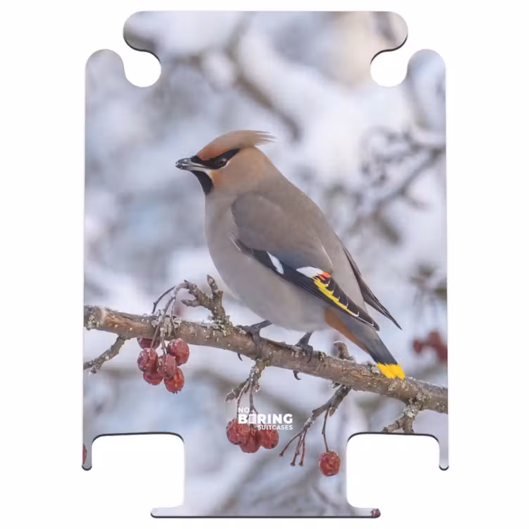CaseSwap - Eurasian Jay - Berries - Winter - Nature — 1