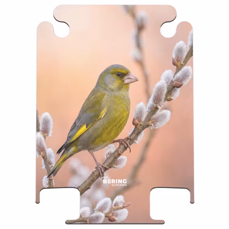 CaseSwap - Greenfinch - Catkins - Spring - Nature - Soft — 1