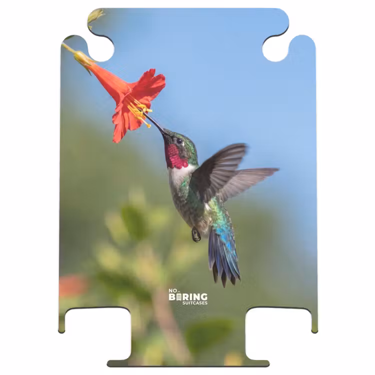 CaseSwap™ - Hummingbird - Flower - Nature - Green — 1