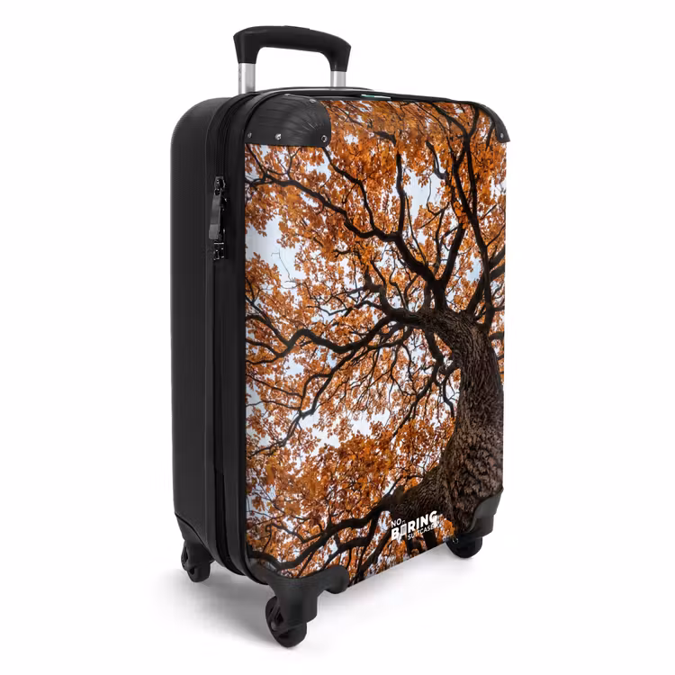 CaseSwap - Tree - Canopy - Fall - Orange - Atmospheric — 2