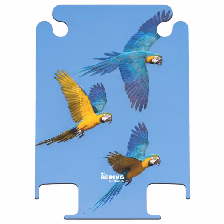 CaseSwap™ - Parrot - Flying - Blue - Yellow — 1