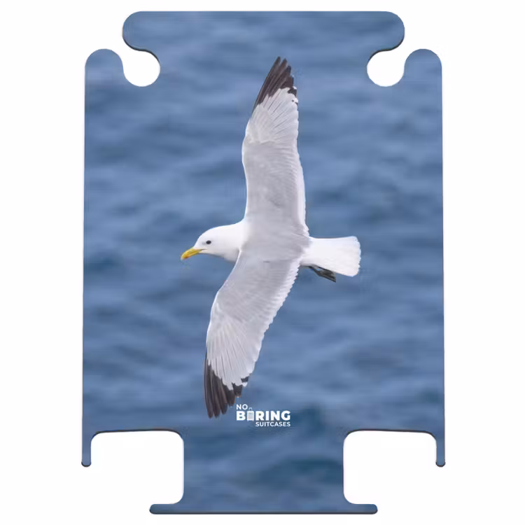 CaseSwap™ - Seagull - Ocean - Blue — 1