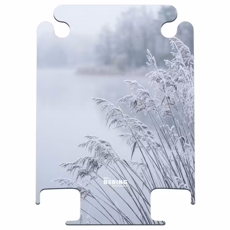 CaseSwap™ - Reeds - Frozen - Winter - Nature — 1