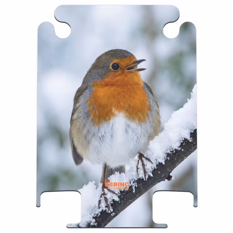 CaseSwap™ - Robin - Branch - Snow - Winter - Lively — 1