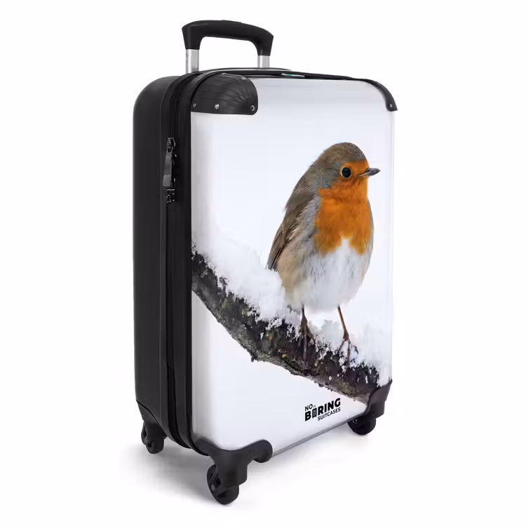 CaseSwap - Robin - Branch - Snow - Winter - Lively — 2
