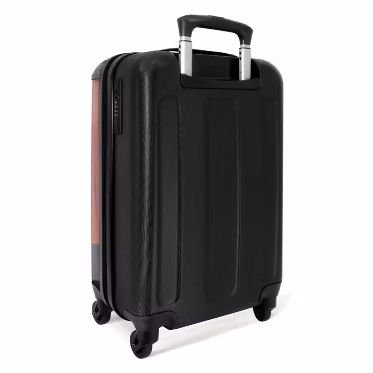 Suitcase - Illustration - Bird - Plains - Colorful — 4