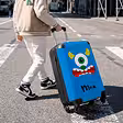 Cabinsuitcases(36 L)
