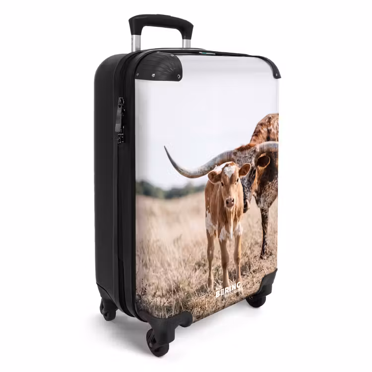 CaseSwap™ - Texas Longhorn - Calf - Pasture - Animals — 2