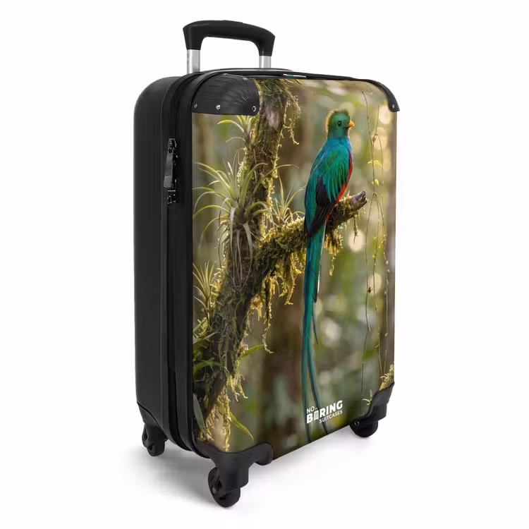 CaseSwap™ - Quetzal - Jungle - Nature - Green — 2