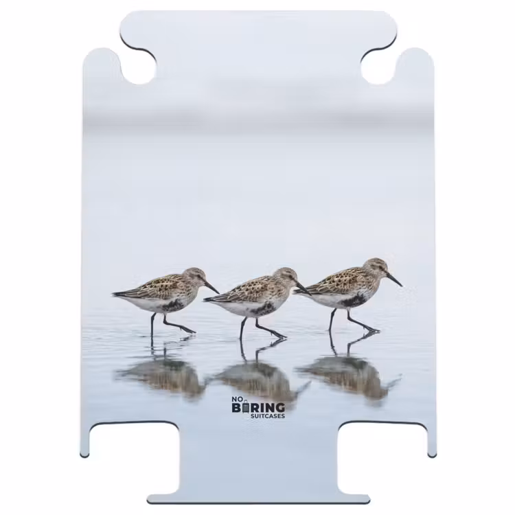 CaseSwap™ - Birds - Water - Gray — 1