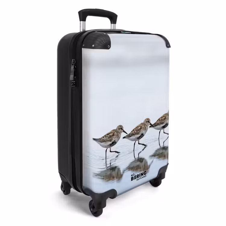 CaseSwap™ - Birds - Water - Gray — 2