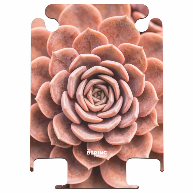CaseSwap™ - Succulent - Organic - Pink — 1